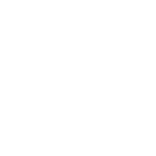 خدمات 3 029 formula